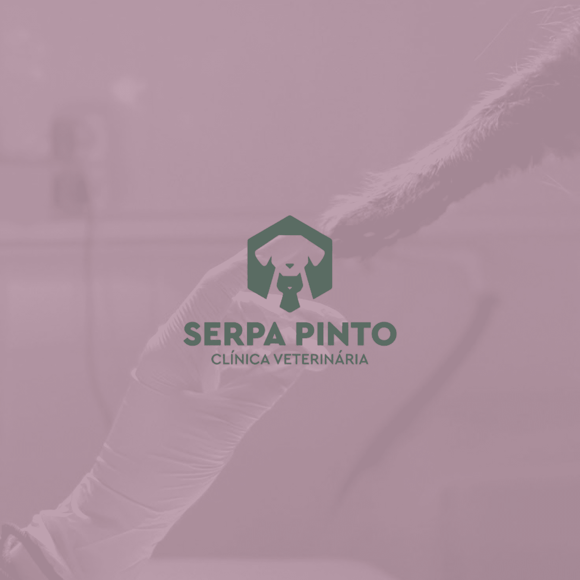 Clínica Veterinária: Serpa Pinto — Website Premium